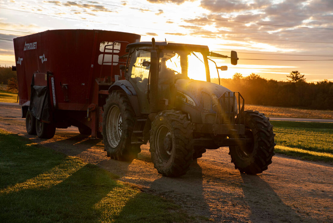 Bulldozer on a farm during sunset